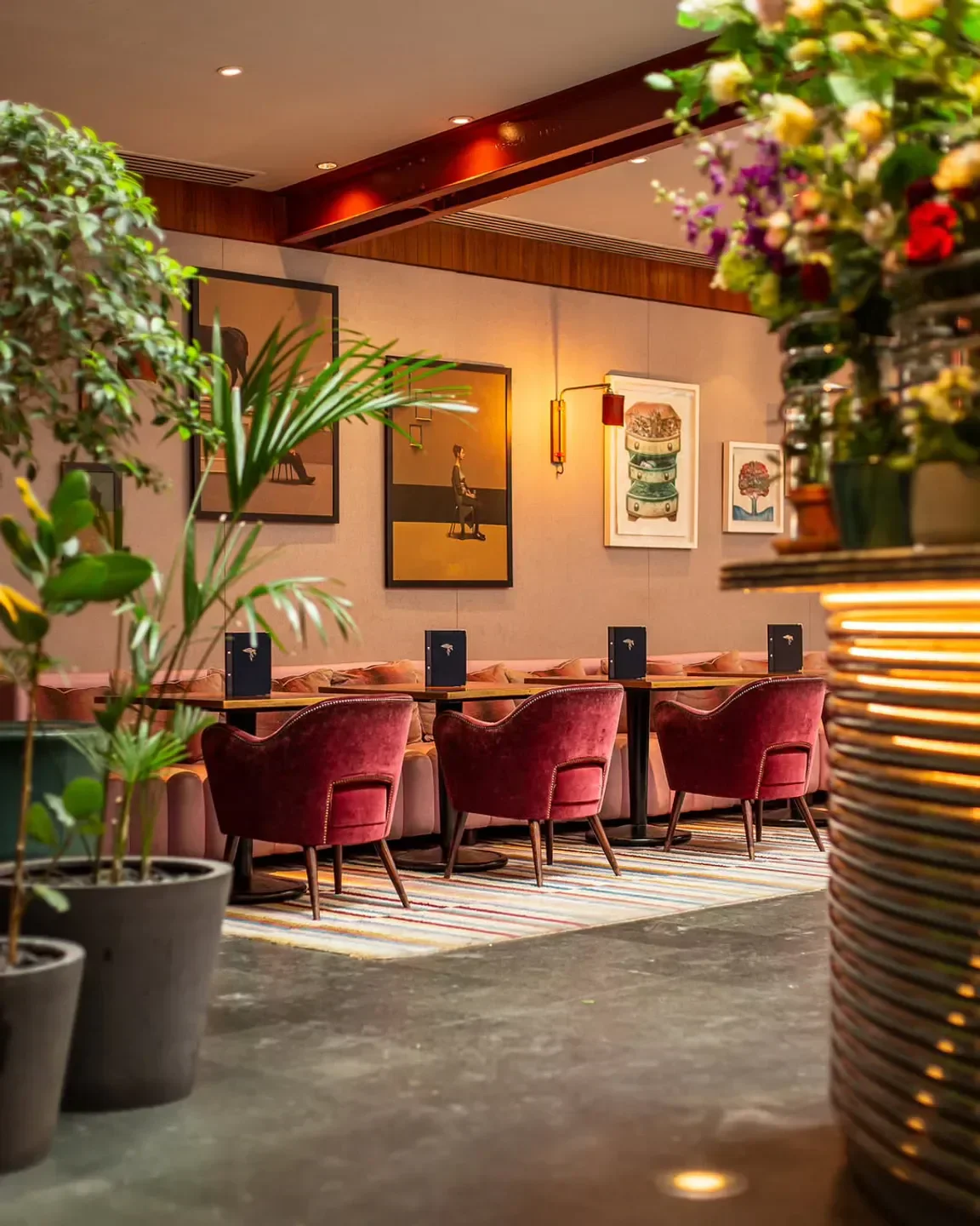Cozy dining area at Bluebird Chelsea restaurant in London with red velvet chairs