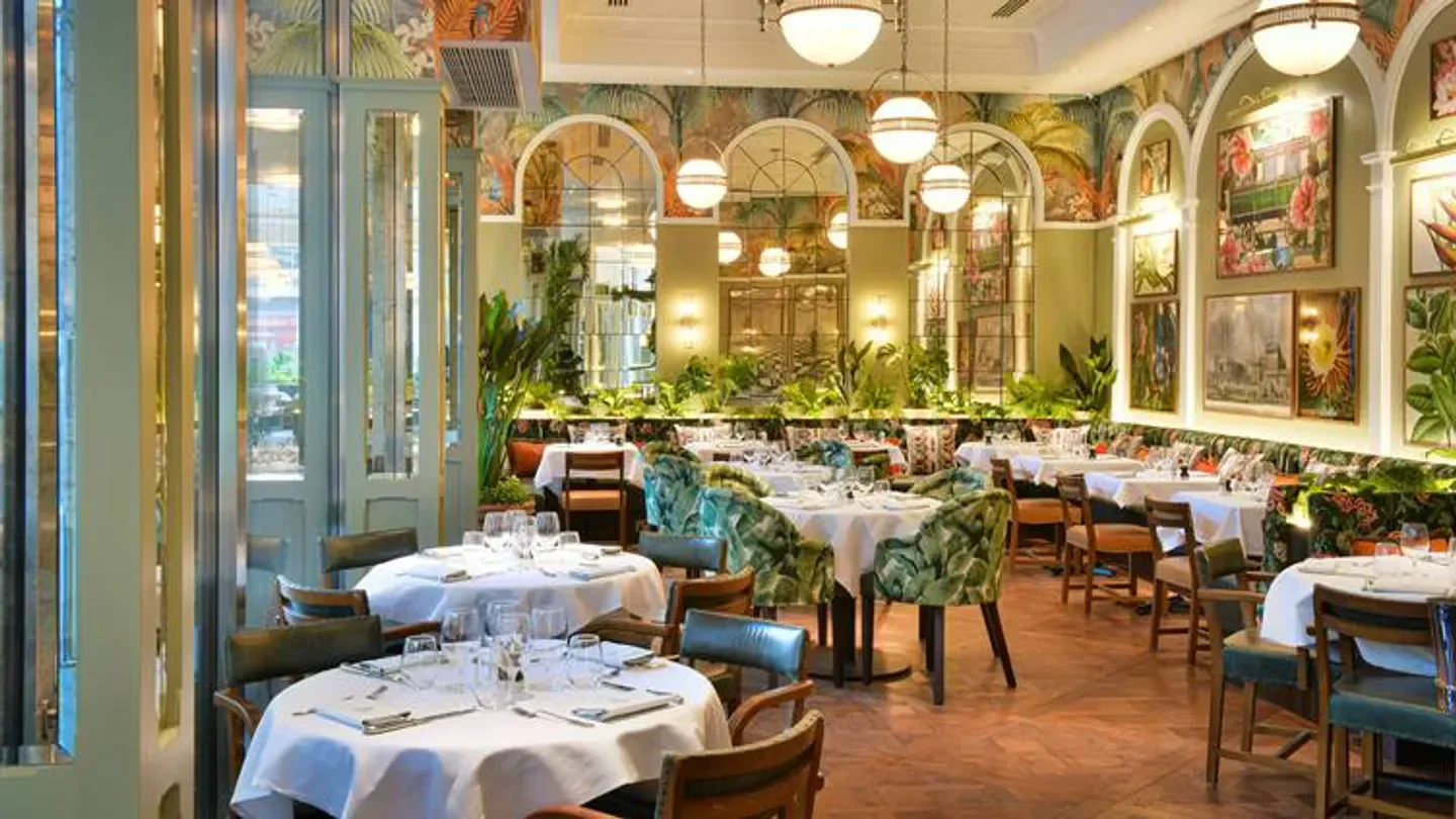 Interior of The Ivy restaurant in London, with elegant decor and inviting tables.